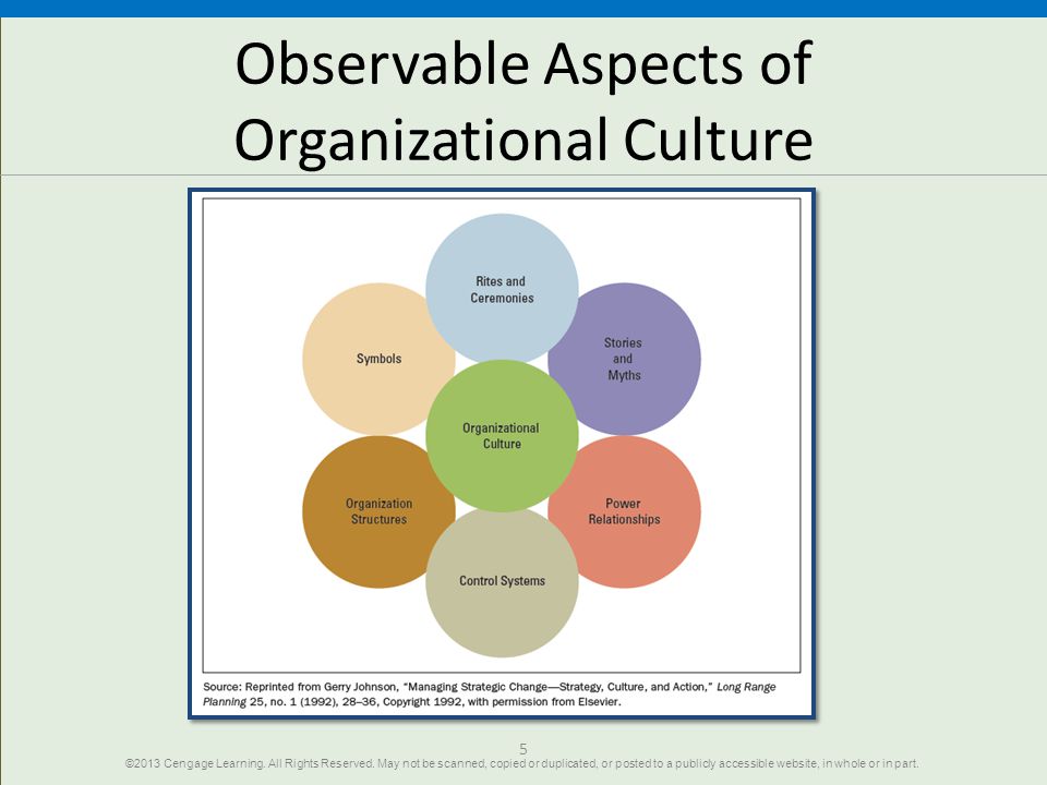 characteristics of organizational culture